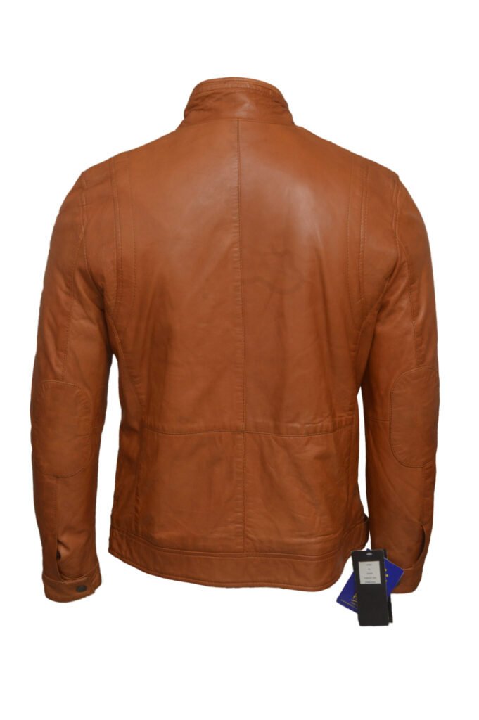 Arnic-back-scaled-scaled-19.jpg LTG Ernic - Image 2